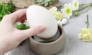 鸡蛋鹅蛋能一起吃吗 鸡蛋和鹅蛋可以一起吃吗