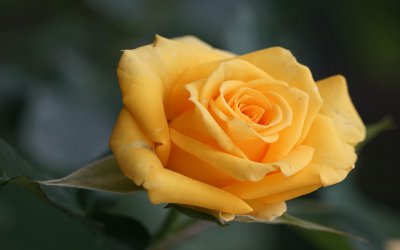 射手座的缺点有哪些 射手座的十大缺点盘点