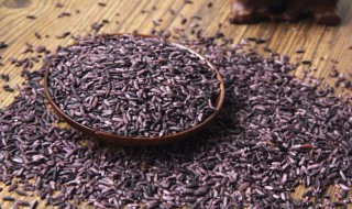 吃紫米的功效与作用 经常吃紫米有什么好处