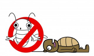 蟑螂怎么彻底清除 蟑螂有什么彻底清除的方法呢