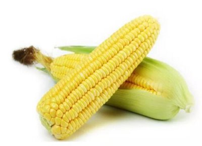 甜玉米含糖量 甜玉米含糖量高吗