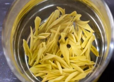 黄金茶属于什么茶类 功效作用