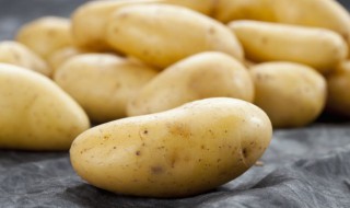 盆栽土豆的种植方法 盆栽怎么种植土豆