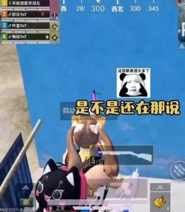 窥屏是什么意思 和平精英游戏时看着主播直播然后玩游戏