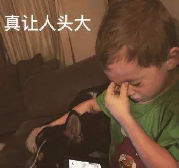 宠物可以上地铁么