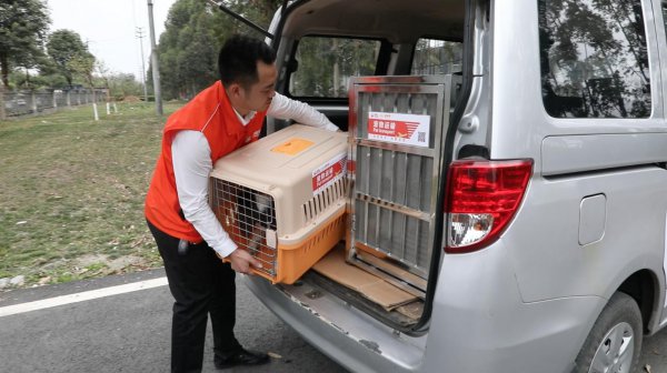 宠物可以上地铁么