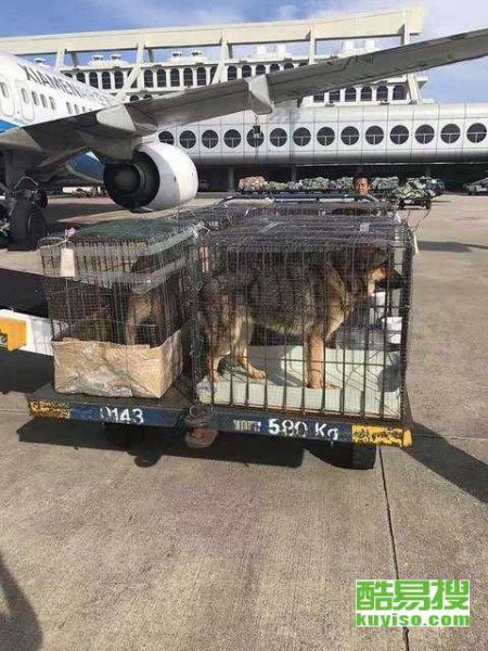 宠物可以上地铁么