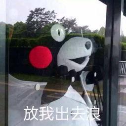 宠物可以上地铁么