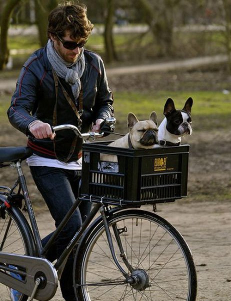 宠物可以上地铁么