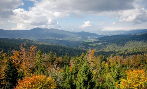 通勤指的是每天来回吗