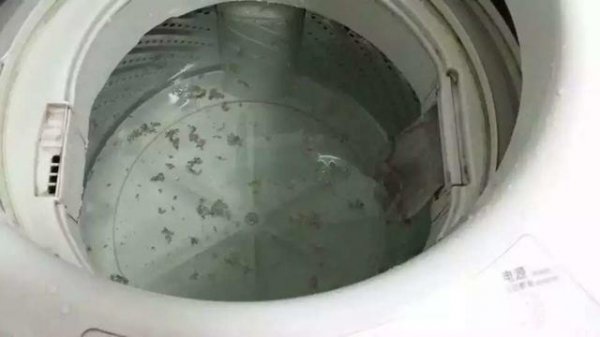 卫生间有小虫用什么方法能消除掉