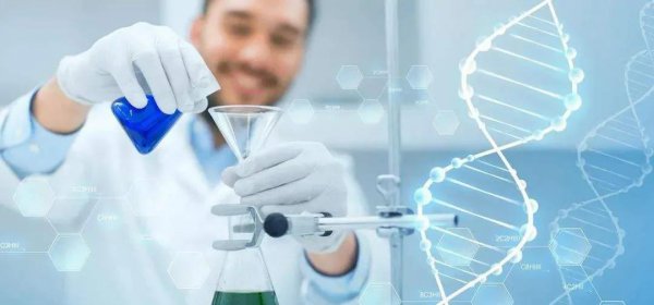 中国未来十大朝阳行业