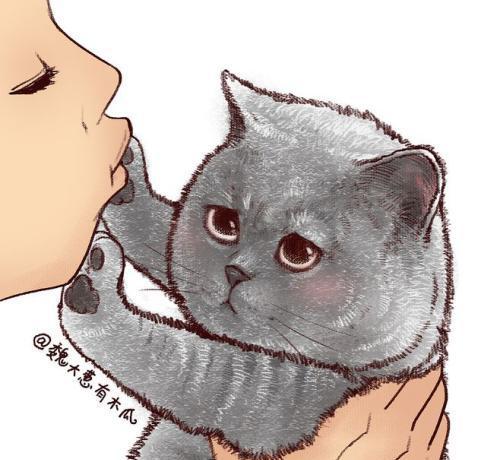 网络语言铲屎官是什么意思