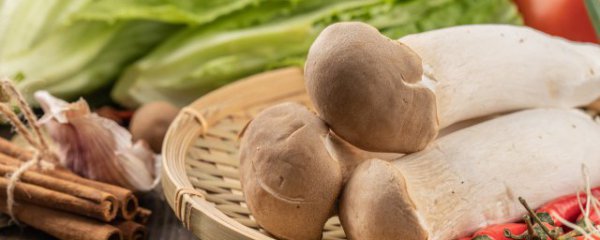 杏鲍菇怎么保鲜