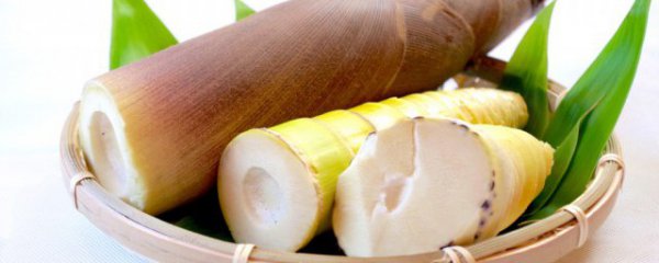 竹笋哪个部位可以吃