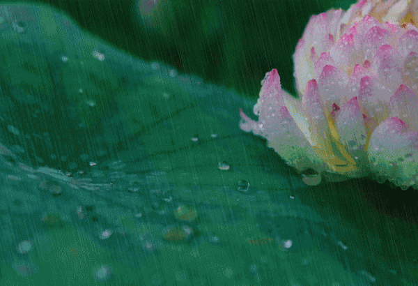 降雨量划分标准是什么