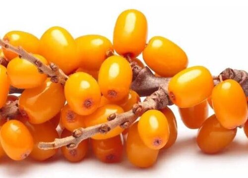 美白的水果有哪些