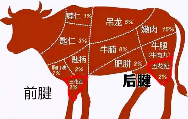 牛腱子肉是哪个部位的肉