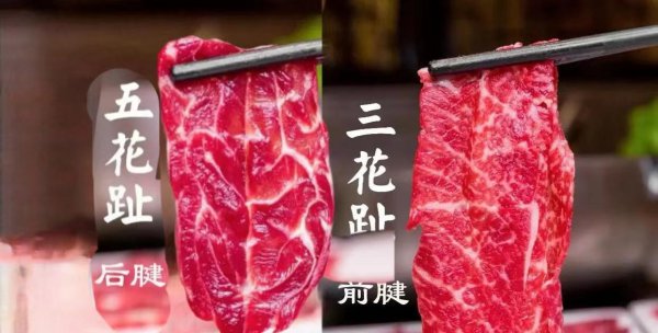 牛腱子肉是哪个部位的肉