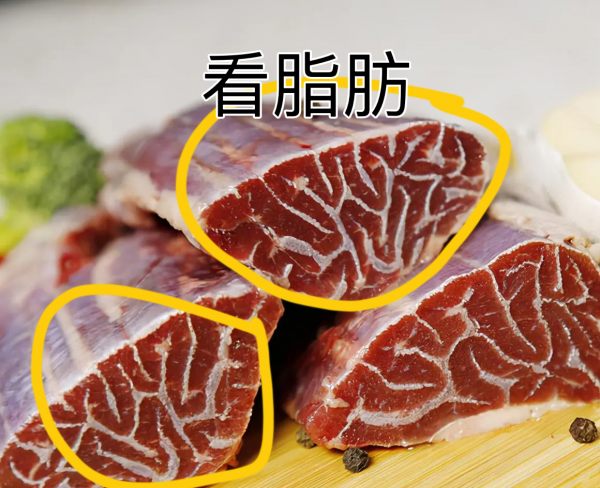牛腱子肉是哪个部位的肉