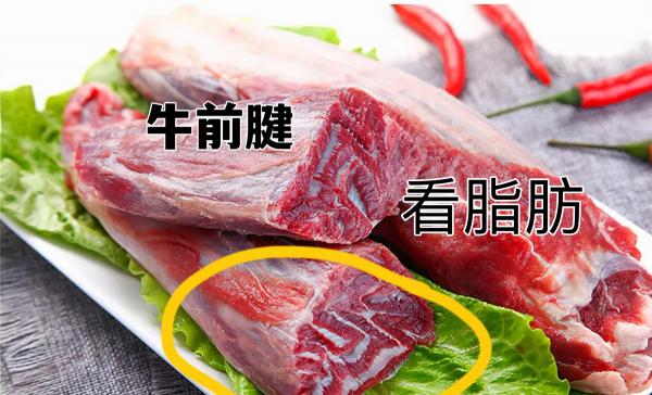 牛腱子肉是哪个部位的肉