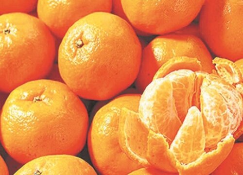 目前最好吃的4个品种柑橘