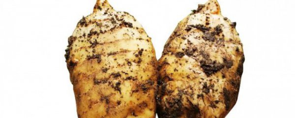 新鲜天麻食用方法