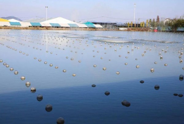 巴洛克珍珠是什么珍珠