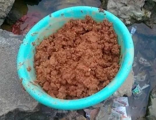 钓鱼打窝用什么饵料最好