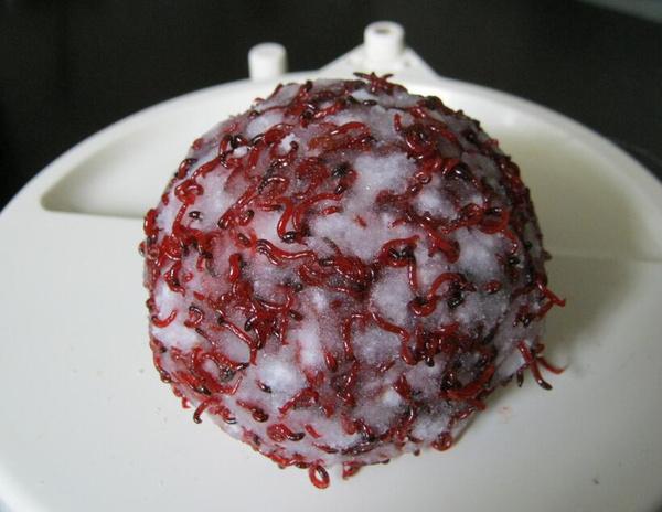 钓鱼打窝用什么饵料最好