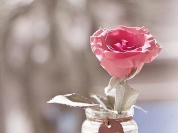 处座女最怕的星座男