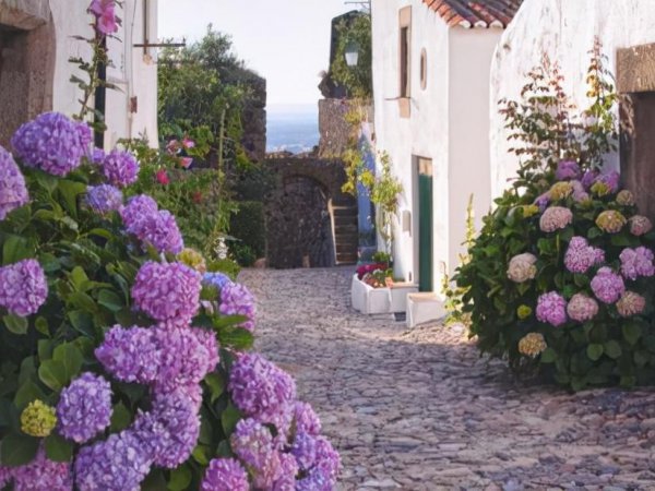 处座女最怕的星座男