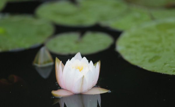 立夏以后就是夏天了吗