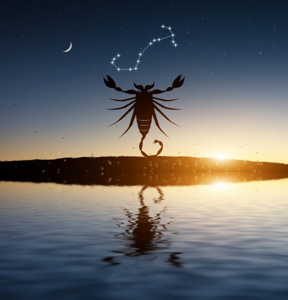 天蝎女性格分析超准