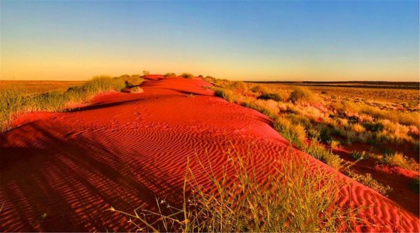 澳洲是指哪个国家