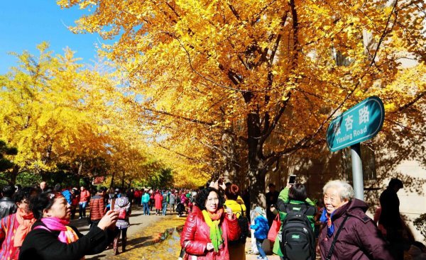 沈阳大学有哪些学校