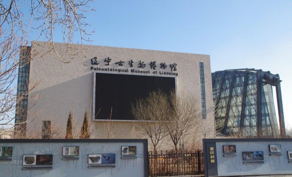 沈阳大学有哪些学校