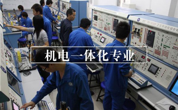 单招的十大类分别有什么内容