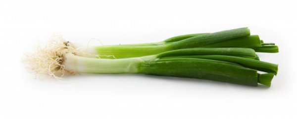 葱冬季储存方法