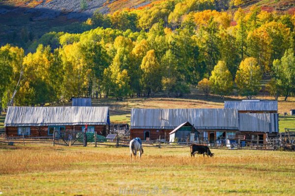 新疆几月份去玩是最佳时间