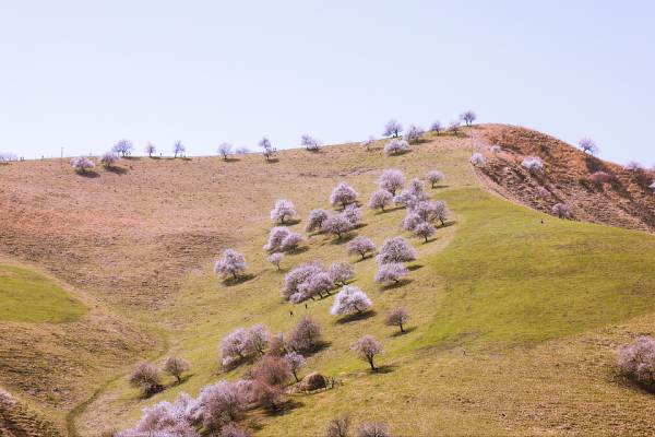 新疆几月份去玩是最佳时间