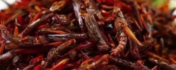 蚂蚱怎么处理干净