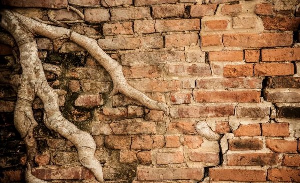 国家低保一个月多少钱