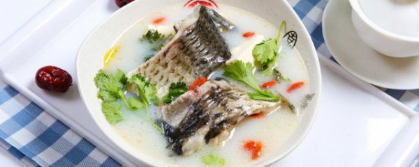 怎么炖鲫鱼汤最有营养