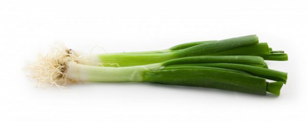 冬季在家储存大葱的方法