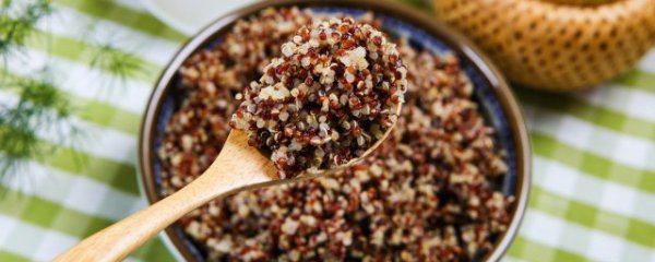 三种藜麦区别是什么