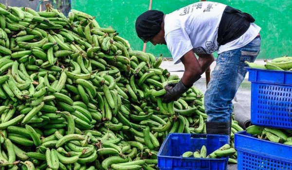 厄瓜多尔是哪个洲的国家