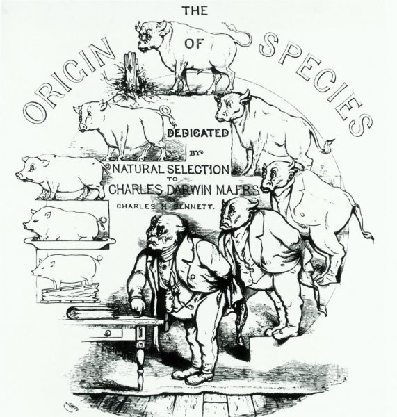 厄瓜多尔是哪个洲的国家