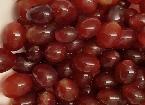 宠物狗狗可以吃提子吗