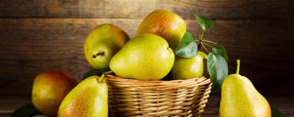 梨树保存方法和注意事项